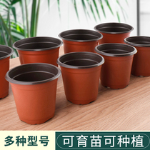 Bicolor seedling flower flower pot seedling bowl disposable insert skewer thickened large nutraceutical cup planting basin plastic bicolor flower pot