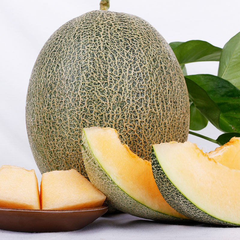 海南哈密瓜小蜜25号晓蜜哈密瓜新鲜水果包邮网纹瓜西州蜜瓜一箱