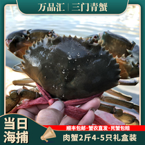 Sanmen green crab fresh extra large extra large crab Male crab extra large gift box Authentic wild big green crab in Taizhou Zhejiang