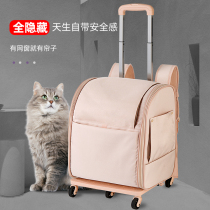 LDLC All Hidden Big Number Back Cat Bag Tie Rod Suitcase Breathable Mini Pet Out Portable Double Shoulder Backpack