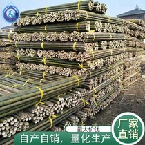 Vegetable Bamboo Rack Traction Rack Climbing Fine Bamboo Rod Home 2 5 m Bamboo Rack Bean Corner Rack Bar Furnishing Small Bamboo 2 m
