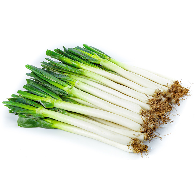 提鲜自产微辣蘸料产地直销山东大葱章丘大葱10斤包邮大葱香味新鲜