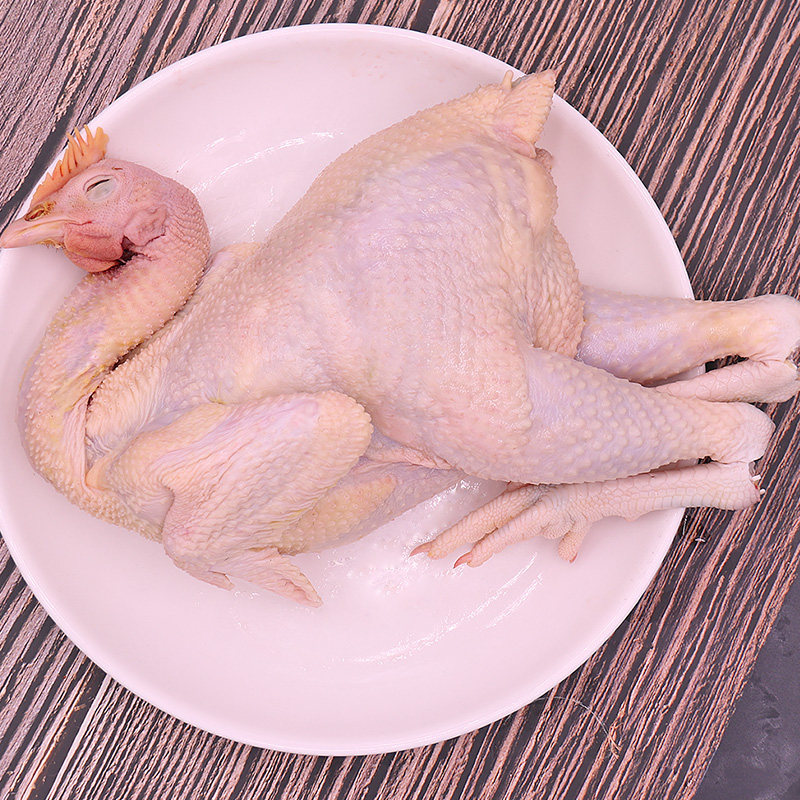 农家养老母鸡活鸡现杀鸡肉新鲜冷冻整鸡