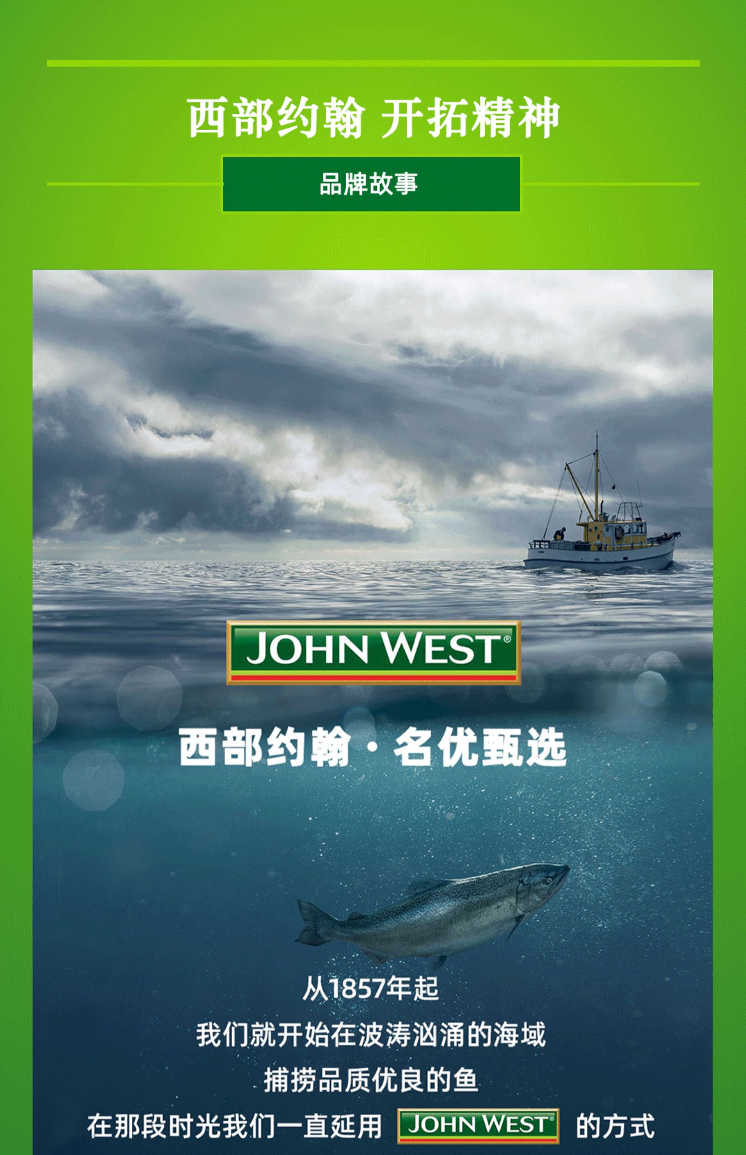 【JohnWest】进口金枪鱼罐头4罐