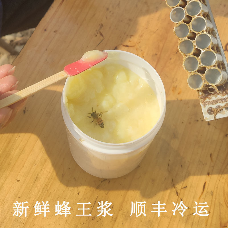 20年大别山纯正蜂王浆天然野生500g春浆农家自产新鲜油菜峰皇浆乳