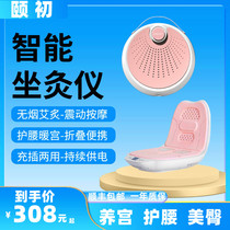 Acupuncture Instrument Household Gynaecology Non-Smoking Acupuncture Box Cold Electric Heating Temperature Acupuncture Machine Seat Fumigation Futon Probiotic Stool