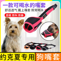 Yorkshire special dog mouth mask pet bark can adjust drinkable water small dog to prevent picking up food and screaming