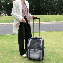 Dual-purpose cat bag trolley box with two cats large-capacity cage breathable dog backpack pet out carrying bag