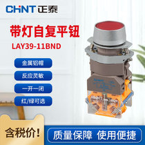 Positive Thai button switch LAY39-11BND with lamp self-reset flat button