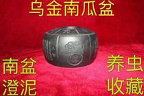 Cricket pot Cricket pot Cao Xinggen Pumpkin pot Wu Jin pot Tianluo cover pot South pot Cheng Mud pot