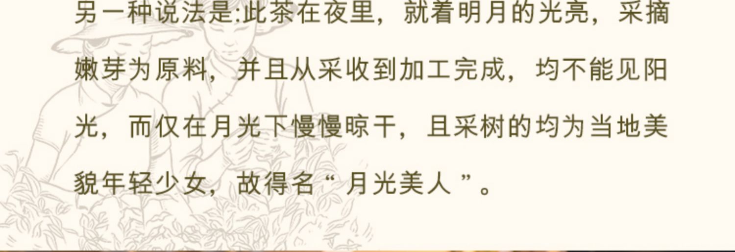 【金菩麟】庄园月光白茶云南普洱美人茶