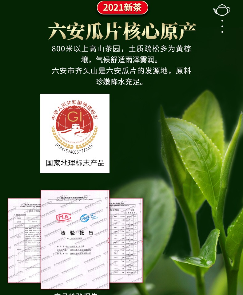 江小茗六安瓜片绿茶新茶罐装