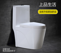 Adult toilet toilet