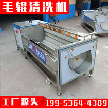Carrot hair roller washing machine pig head sweet potato oyster scallop lotus root potato konjac to remove impurities peeling washing machine