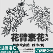 Vegetarian Pattern Body Sticker Woman Waterproof Persistent Floral Arm Chest Front Leg Lock Bones Big Picture Grass Bennet Red Semi Permanent Juice