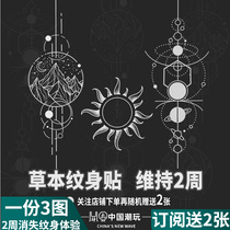 Tattoo Sticker Lady Waterproof Man Durable Original Plant Grass Ben Arm Mesh Red Semi Permanent Flower Arm Juice Art