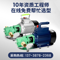 Shanghai self-priming gear pump 220380v diesel oil oil edible oil high viscosity stainless steel electric oil pumping pump