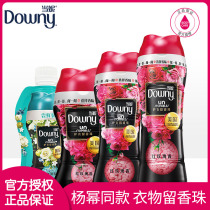 downy Dangni protective clothing fragrant beads laundry beads small particles clothes fragrance-enhancing and supple liquid fragrance-lasting artifact