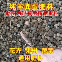 Goat Manure Fermented Organic Fertilizer Dry Sheep Manure Egg Vegetable Fattening Fertilizer Flower Fertilizer Flower Fertilizer Flower Fertilizer Flower Fertilizer Flower Fertilizer Flower Fertilizer Flower Fertilizer Flower Fertilizer Flower Fertilizer Flower Fertilizer Flower Fertilizer Flower Fertilizer