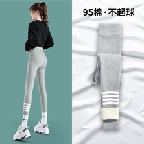 Light gray underpants female in spring and autumn winter wearing knitted and thickened elastic force to keep warm 95 pure cotton pants