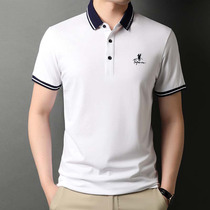 2022-year-old Shizhe young high-end men new summer embroidery and short-sleeved t-shirt Polo clothes men