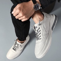 Autumn men's shoes new small white shoes board shoes Korean fashion men's shoes low casual shoes non-slip Joker tide shoes