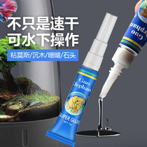 National Elephant Grass Gum Osteop Gel Coral Gum Mos Adhesive Woodstone Fish Cylinder Gel Gelry Gum