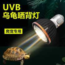 Turtle Back Light Uvb Tonic Calcium Sun Light Uva Full Spectrum Tortoise Tank Bulb Repo Lizard Reptile Reptile Three-in-one Light