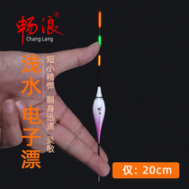Brisk light water Drift night light fish drift high sensitivity nanoelectronic float ice fishing for short and small striking crucian carp drift