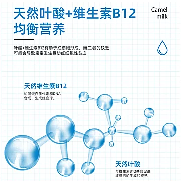 礼盒装高钙益生菌骆驼奶粉[100元优惠券]-寻折猪