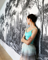 (7 2 seconds on new spot)Korea levdance ballet multi-layer tutu yarn skirt two colors