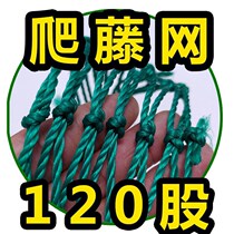 Climbing Vine Net 15 20 cm Mesh Planting Nets Pumpkin Silk Melon Centenary Nets tennis net 100 m Long