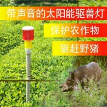 Drive for wild boar with dog called sound Beast Flash Solar Warning Lights Long Renewed Night Warning Burst Lights