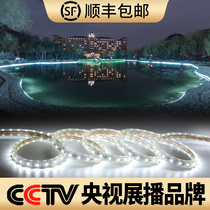 White underwater 24V light strip outdoor waterproof fish tank light led light strip outdoor fish pond underwater long light strip white light