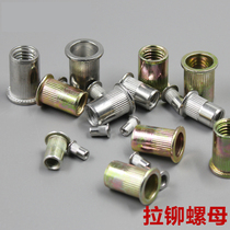 Nut Screws Zinc Roller Nut Cap Flat Head String Roller Nut Studs for Stud Guns Hemp Drill Bit