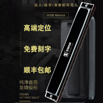 German original imported sound Reed 28-hole high-end polyphonic harmonica professional performance adult beginner C- tone accent