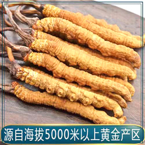 Tibet Naqu Cordyceps sinensis official wild dry Cordyceps 10 grams 40 dry goods special gift box