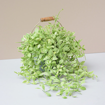 Malt Forest Phnom Penh Emerald Chlorophytum Retro Iron Art Flowerpot Indoor Windowsill Balcony Hanging Potted Green Plants