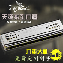 SWAN SWAN 24-hole double-sided double tone harmonica G harmonica C tune harmonica adult professional playing beginners introduction