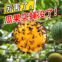 Fly trapping ball Citrus large real fly Orchard vegetable Loofah fruit Trapping ball fruit fly Hornet needle bee armyworm board