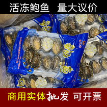 10 Head abalone 500g in A live frozen fresh frozen raw abalone box commercial Buddha jump wall chilled ten head quick freeze
