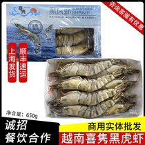 Vietnamese Black Tiger Shrimp Mega Prawn Live Frozen Fresh Seafood Aquatic Frozen Spot Shrimp Oversized Commercial Large Shrimp Tiger Shrimp