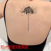 Peer-bank patched tattoo herbal glamour waterproof lady lasting juice thighs shoulder calf ankle tattoo back