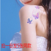 Colorful butterfly waterproof woman lasting back arm lockbone tattoo sexy covering literary and fresh sense in