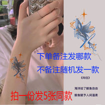 Waterproof woman persistent hot sister simulation colored whale tattoo with small fresh in air arm hand ring fingertattoo