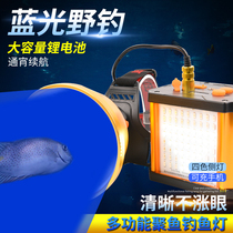 Night fishing light laser gun fishing light super bright high-power xenon light strong light spotlight field fishing black pit table fishing blue light