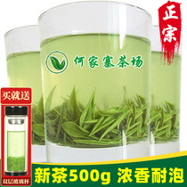 Xinyang Maojian tea 2021 new tea before rain Special One Bud one leaf bulk tea green tea strong spring tea 500g