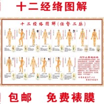 Twelve meridians of the human body hanging wall stickers Chinese wall paintings organ body wall paintings indicating distribution
