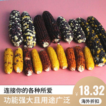 Home Hardware Mini Corn Rabbit Harden Hardware Grinding Tooth Dragon Gupid Snacks Grinding Tooth Corn Rod