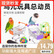 Parrot Mirror Sleeper Shopping Sky Scooter Tiger Line Fengyi Zhi Teeth Bite Toy Supplies